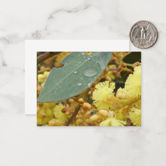 Golden Wattle Note Kaart Notitiekaartje (Voorkant / Achterkant in situ)
