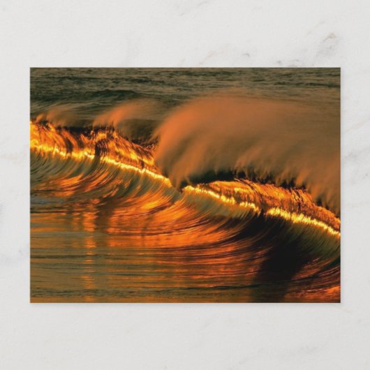 Golden Wave op Sunset, Mexico Briefkaart (Voorkant)