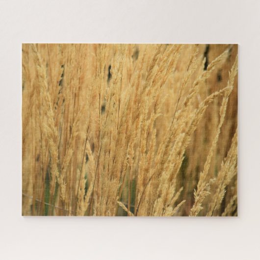 Golden Wheat Fields - 16x20 - 520 pcs. Legpuzzel (Horizontaal)