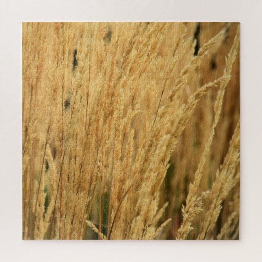Golden Wheat Fields - 20x20 - 676 pcs. Legpuzzel (Verticaal)