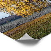 Golden Willows Poster (Hoek)