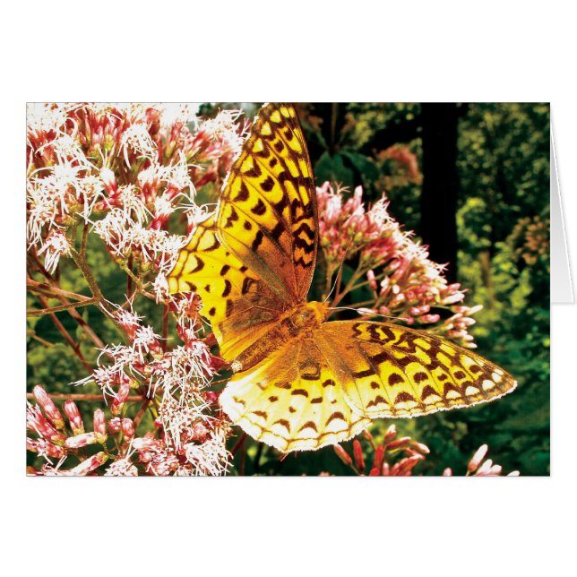 Golden Wings (Voorkant Horizontaal)