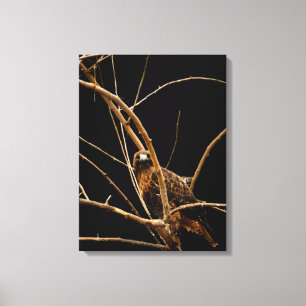 Golden Wrapped Canvas Afdruk