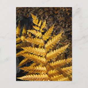 Golden Yellow Fern Fall Leaves Foto Briefkaart