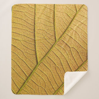 Golden yellow leaf pattern in the morning.  sherpa deken