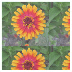 Golden Yellow Oranje Zinnia Flower Stof