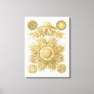 Golden Zee Creats Canvas Afdruk