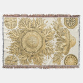 Golden Zee Creats Deken (Voorkant)