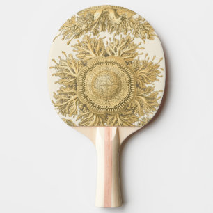 Golden Zee Creats Tafeltennisbatje