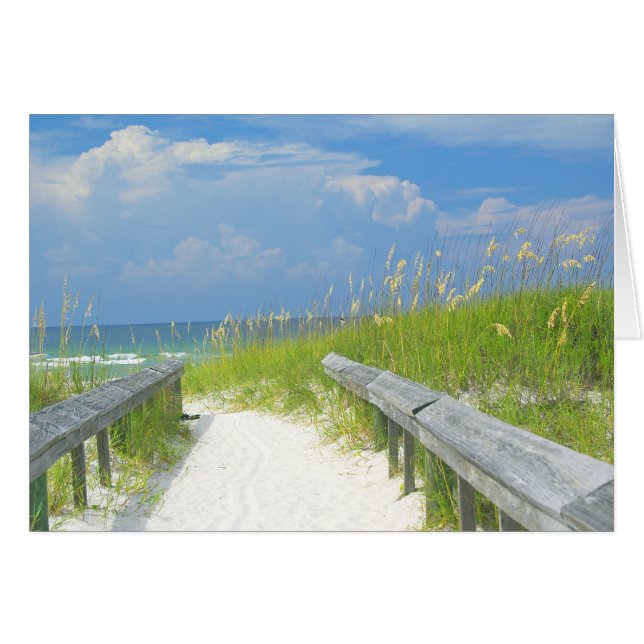 Golden Zee Oats (Voorkant Horizontaal)