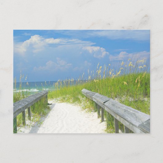 Golden Zee Oats Briefkaart (Voorkant)