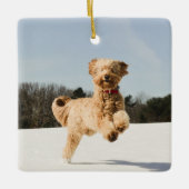Goldendoedle die door het veld loopt keramisch ornament (Voorkant)