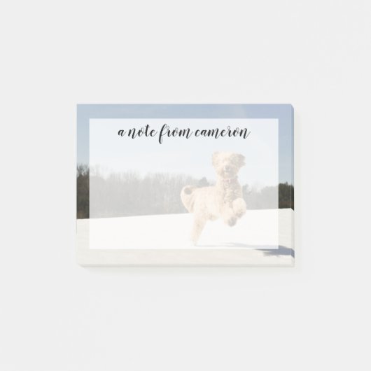 Goldendoedle die door het veld loopt post-it® notes (Voorkant)