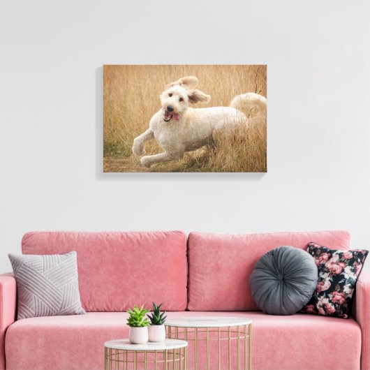 Goldendoedle loopt door Grass Canvas Afdruk (Insitu (Woonkamer))