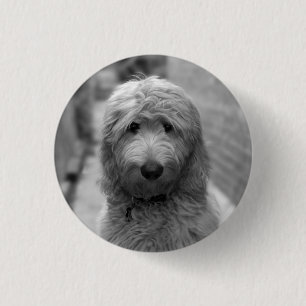 Goldendoedle Puppy in de achtertuin Ronde Button 3,2 Cm