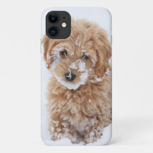 Goldendoedle Puppy met sneeuw op gezicht iPhone 11 Hoesje