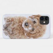Goldendoedle Puppy met sneeuw op gezicht Case-Mate iPhone Case (Achterkant (horizontaal))