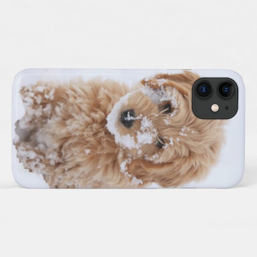 Goldendoedle Puppy met sneeuw op gezicht Case-Mate iPhone Case (Achterkant (horizontaal))