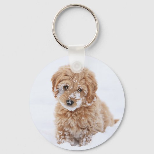 Goldendoedle Puppy met sneeuw op gezicht Sleutelhanger (Voorkant)