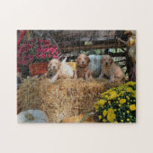 Goldendoedle puppy puzzel (Horizontaal)
