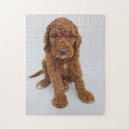 Goldendoedle puppy puzzel