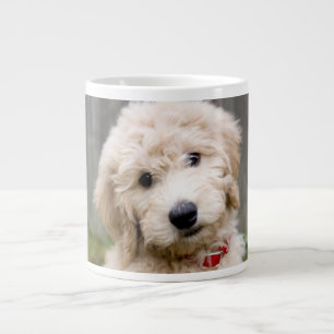 Goldendoedle Puppy Sits in Grass Extra Grote Beker