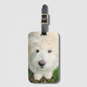 Goldendoele Puppy die naar camera kijkt Bagagelabel