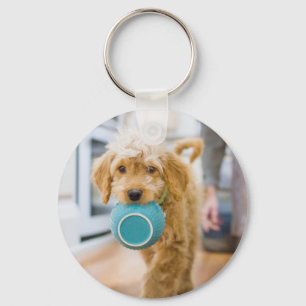 Goldendole Carrying Dinner Bowl Sleutelhanger