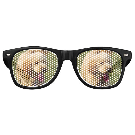 Goldendole Dog Retro Zonnebril (Voorkant)