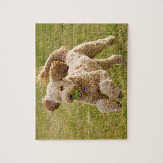 Goldendole Plays Fetch Legpuzzel (Verticaal)