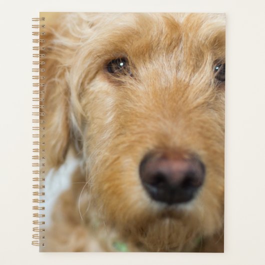 Goldendole Puppy Closeup Planner (Voorkant)
