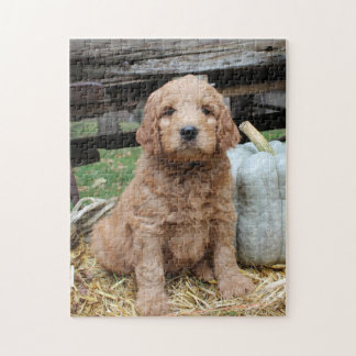 Goldendole Puppy Jigzaag Puzzle Legpuzzel