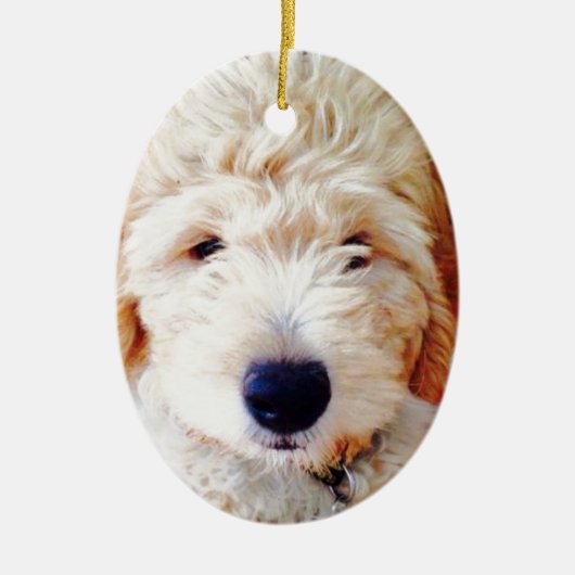 Goldendole Puppy Keramisch Ornament (Voorkant)