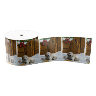 Goldendole Puppy Kerstmis Grosgrain Lint