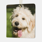 Goldendole Puppy Panting Keramisch Ornament (Links)