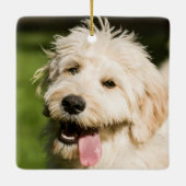 Goldendole Puppy Panting Keramisch Ornament (Achterkant)