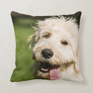 Goldendole Puppy Panting Kussen