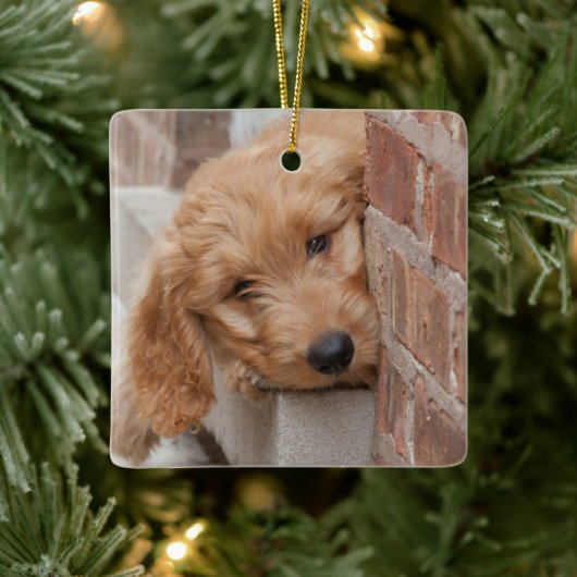 Goldendole Puppy Peeking Keramisch Ornament (Boom)