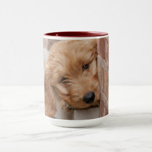 Goldendole Puppy Peeking Mok