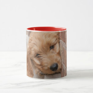 Goldendole Puppy Peeking Mok