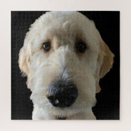 Goldendole Puzzle Legpuzzel