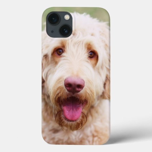 Goldendole Smiling Case-Mate iPhone Case (Achterkant)