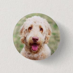 Goldendole Smiling Ronde Button 3,2 Cm