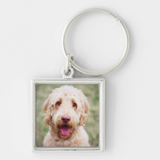 Goldendole Smiling Sleutelhanger (Voorkant)