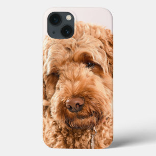 Goldendole Studio Portret iPhone 13 Hoesje