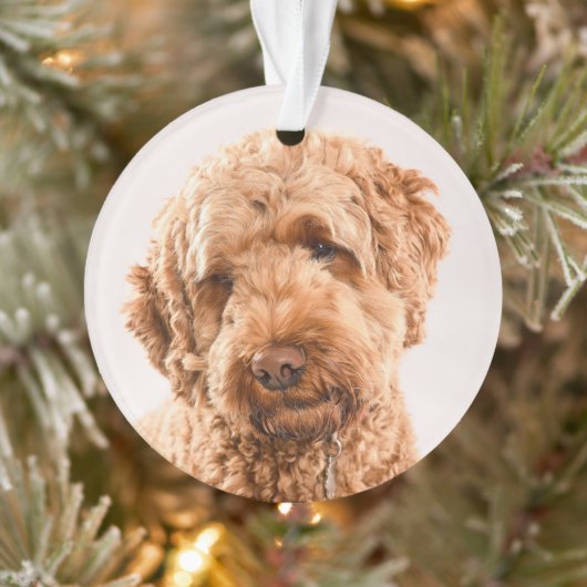 Goldendole Studio Portret Ornament (Boom)