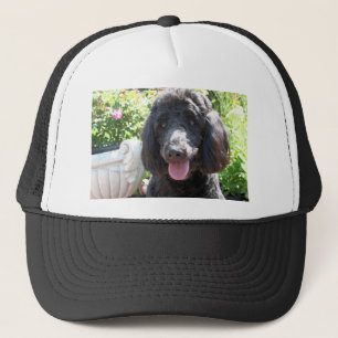 GoldenDoodle Abby 1 Trucker Pet