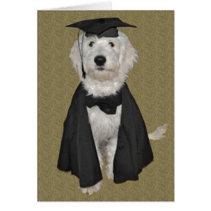 Goldendoodle Afstuderen Card