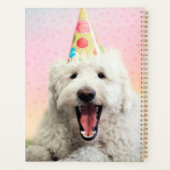 Goldendoodle avec Casquette du parti (Dos)