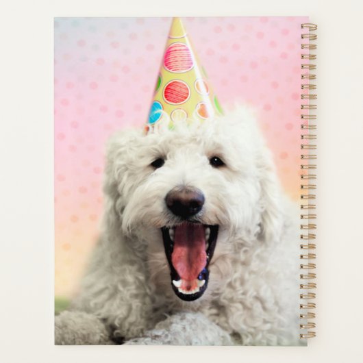 Goldendoodle avec Casquette du parti (Dos)